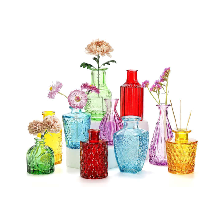 Dollar Tree’s Colored Glass Vases Are Only $1.25 Each | Apartment Therapy