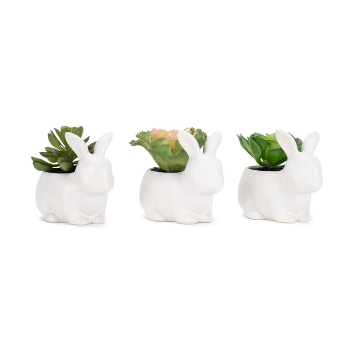 Trader Joe's Is Selling $6 Bunny Planters Again | Apartment Therapy