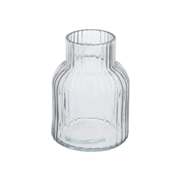Dollar General Is Selling a Cute 5 Glass Vase Apartment Therapy