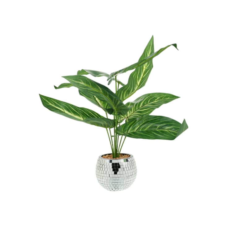 Five Below’s Faux Plants in Disco Planters Are Under 6 Each