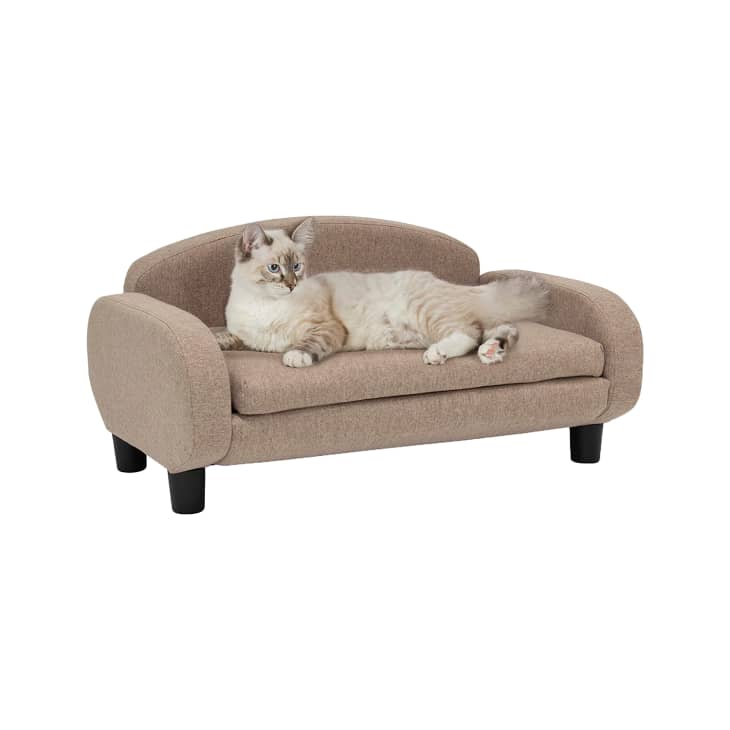 Mini cat hot sale sofa