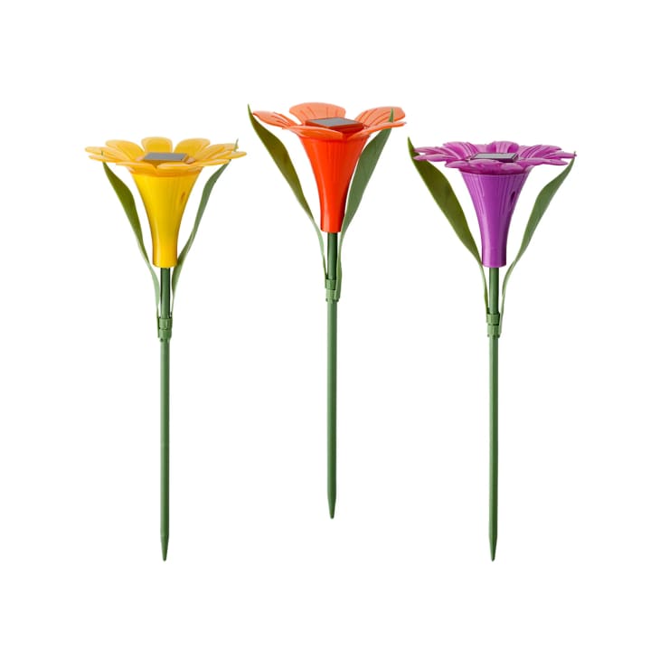 Dollar Tree Is Selling Cute Flower Shaped Garden Lights Apartment Therapy