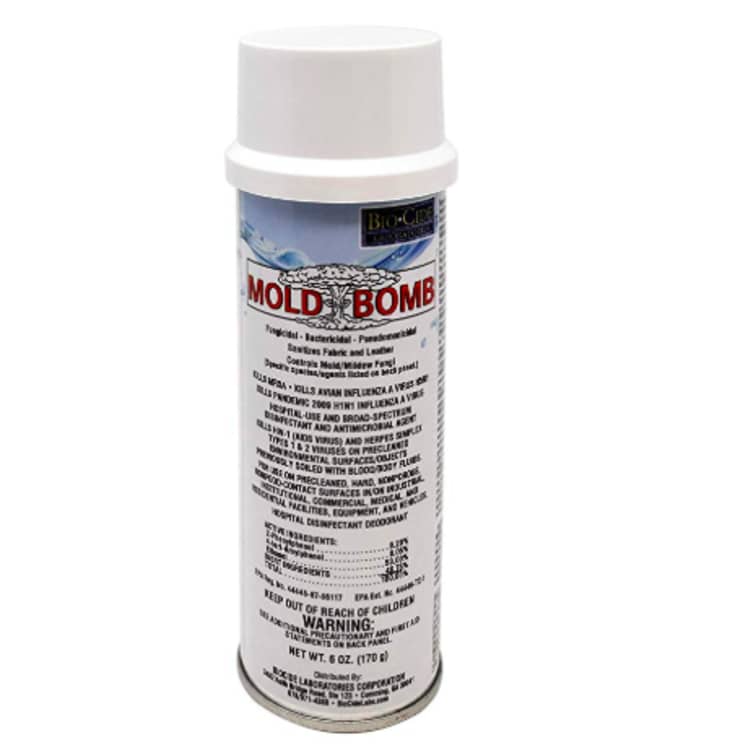 9 Products to Get Rid of (and Prevent) Mold in the Bathroom | Apartment Therapy