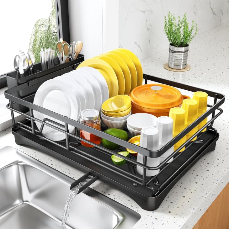 Sam s Club Exclusive Modern Dish Rack on Sale for Under 25 Apartment Therapy