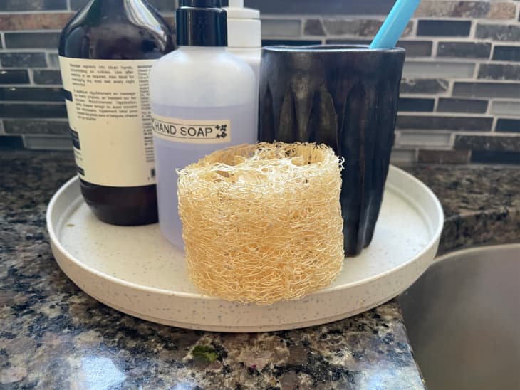 Why Luffa Squash Makes a Great Natural Sponge | Apartment Therapy