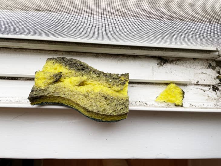I Tried the CutUp Sponge Trick for Cleaning Window Tracks Apartment