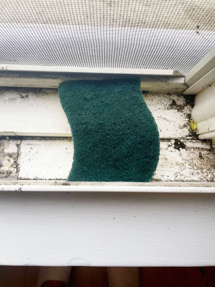 I Tried the CutUp Sponge Trick for Cleaning Window Tracks Apartment