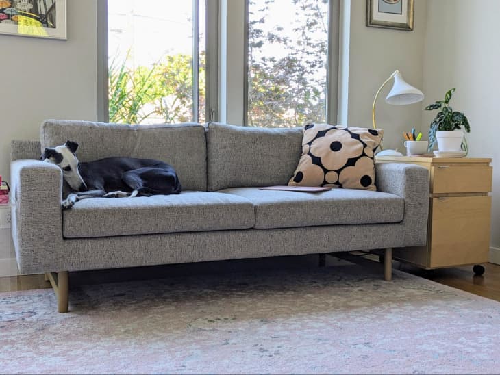 Eddy sofa hotsell