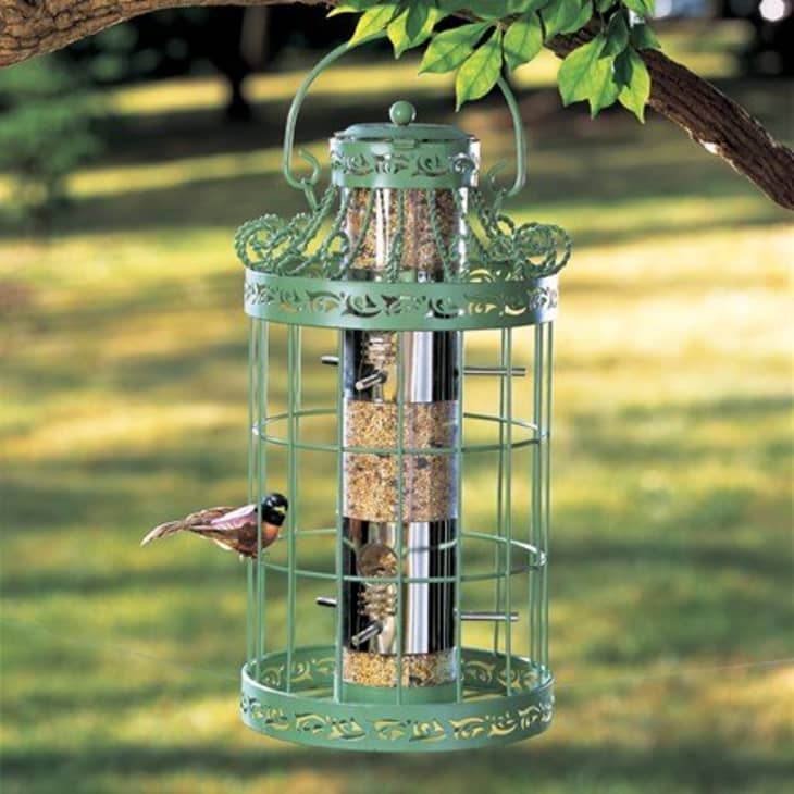 Here’s How a Bird Feeder Can Be a Daily Mood Booster | Apartment Therapy