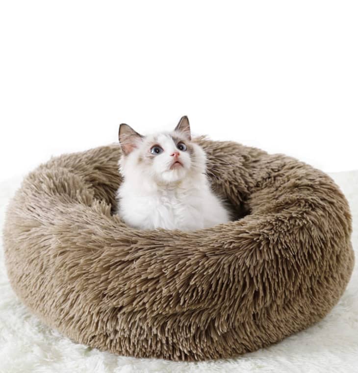 These 8 Space-Saving Cat Items Are Perfect for Cat Parents | Apartment ...