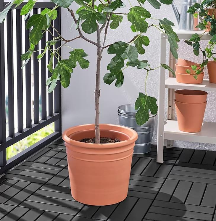 IKEA Now Stocks Large, Under 30 Terracotta Plant Pots Apartment Therapy