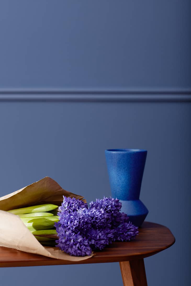 Benjamin Moore Color Of The Year 2025 Nominees