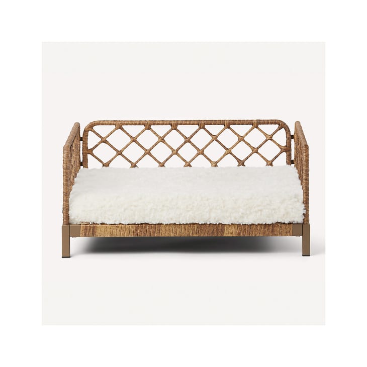 Nate Berkus & Jeremiah Brent x PetSmart Line 2024 Apartment Therapy