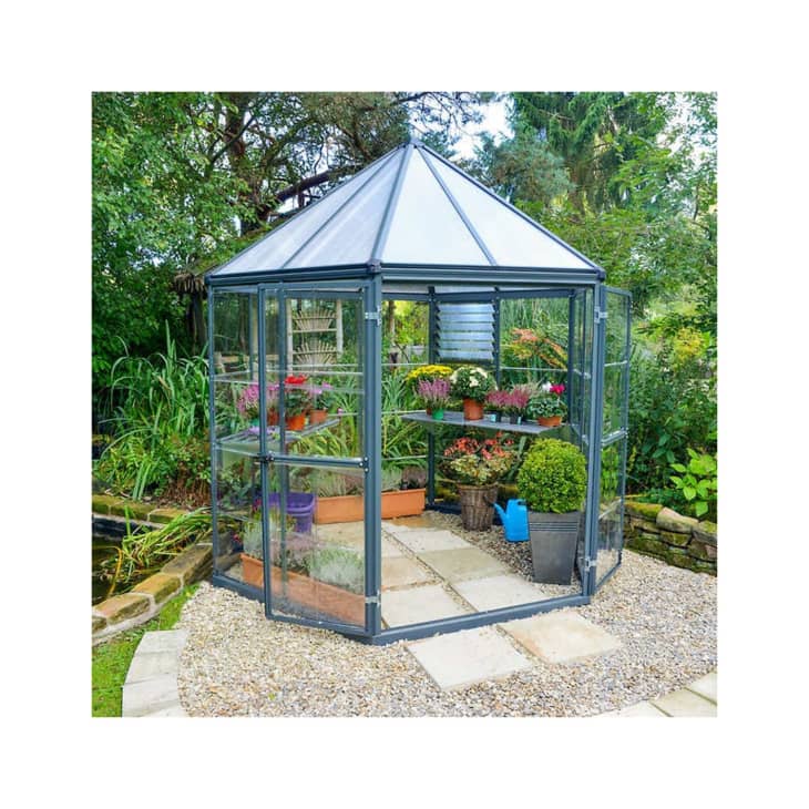 Costco Palram Canopia Oasis Hexagonal Greenhouse Mini Review