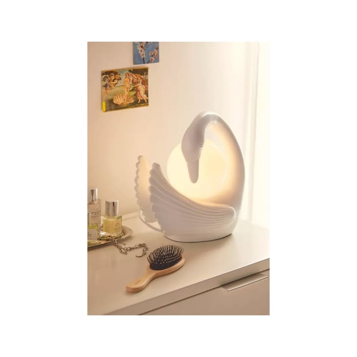 Swancore Is the Decor Trend That’s Set to Take Over | Apartment Therapy