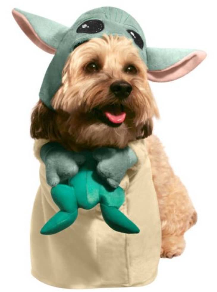 Star Wars: The Mandalorian Child Dog Costume at Target