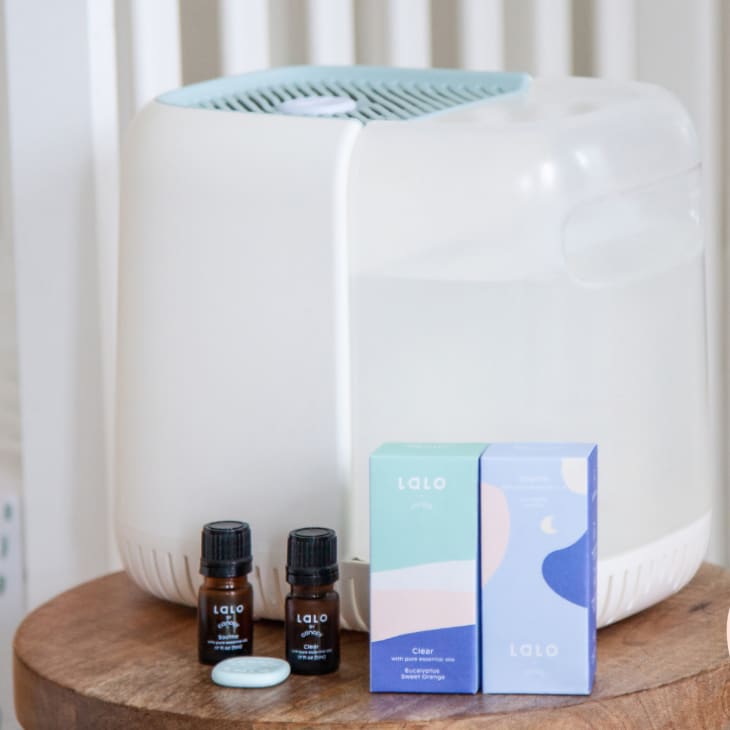 Canopy Humidifier W/ Aroma + Filter Subscription at Canopy