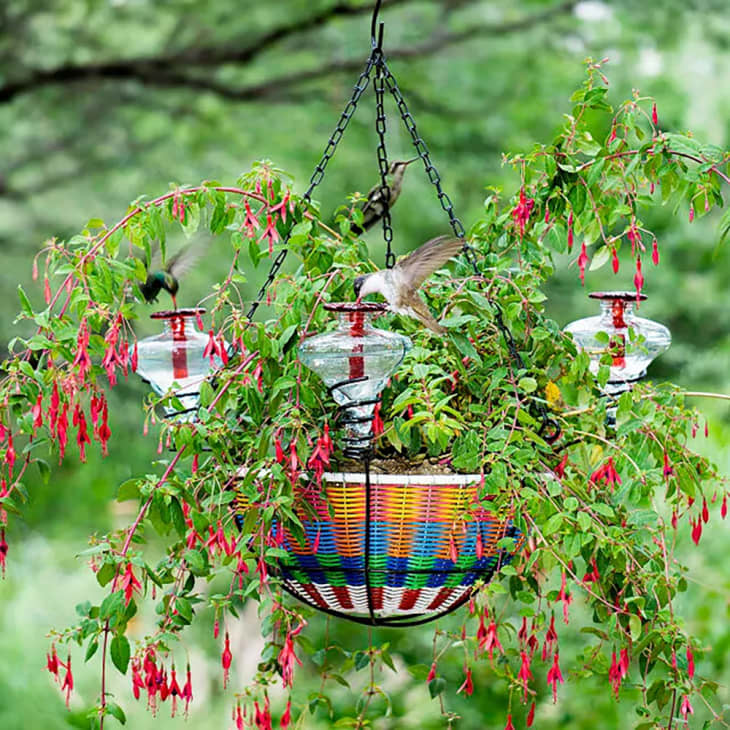 Hanging Basket Hummingbird Feeder at Uncommon Goods