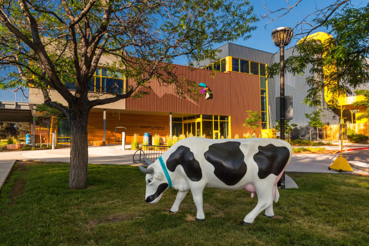Exterior of Children’s Museum of Denver at Marsico Campus, modern looking building with large black and white cow statue on lawn