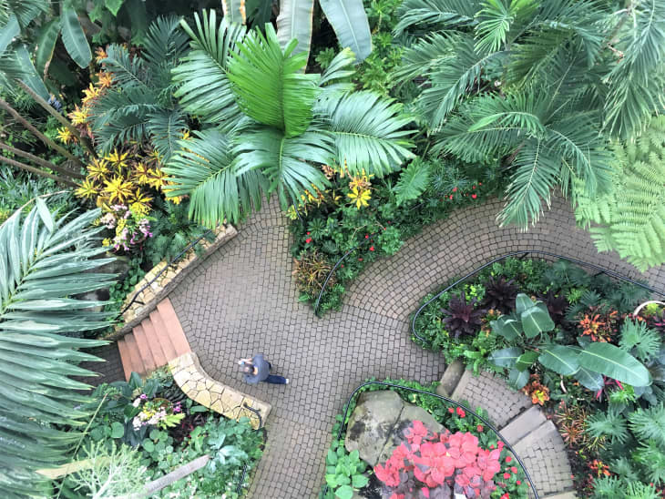 Overhead photo of stone pathway through large plants and trees in the Franklin Park Conservatory and Botanical Gardens