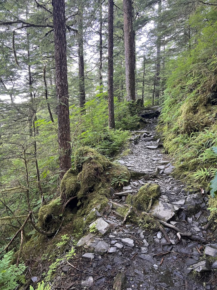 Nature photo of hiking trail in Alaska