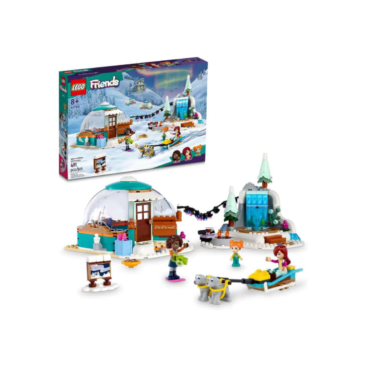 Product Image: LEGO Friends Igloo Holiday Adventure