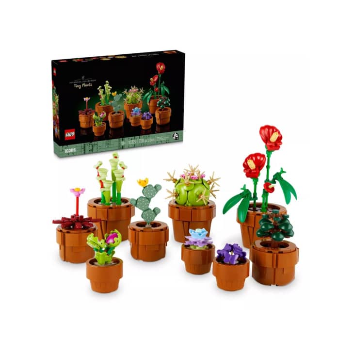 Product Image: LEGO Icons Tiny Plants Build and Display Set for Adults