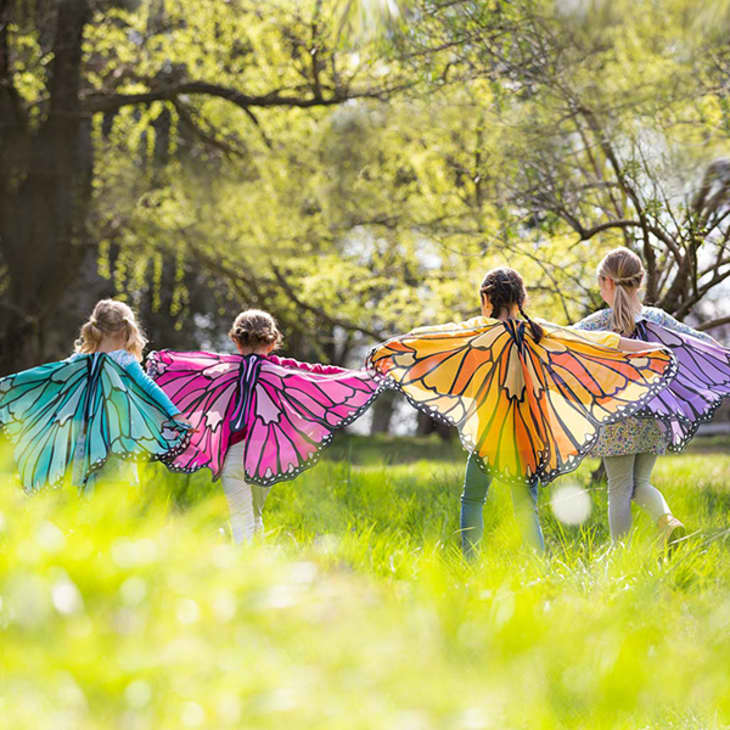 Product Image: Colorful Butterfly Wings
