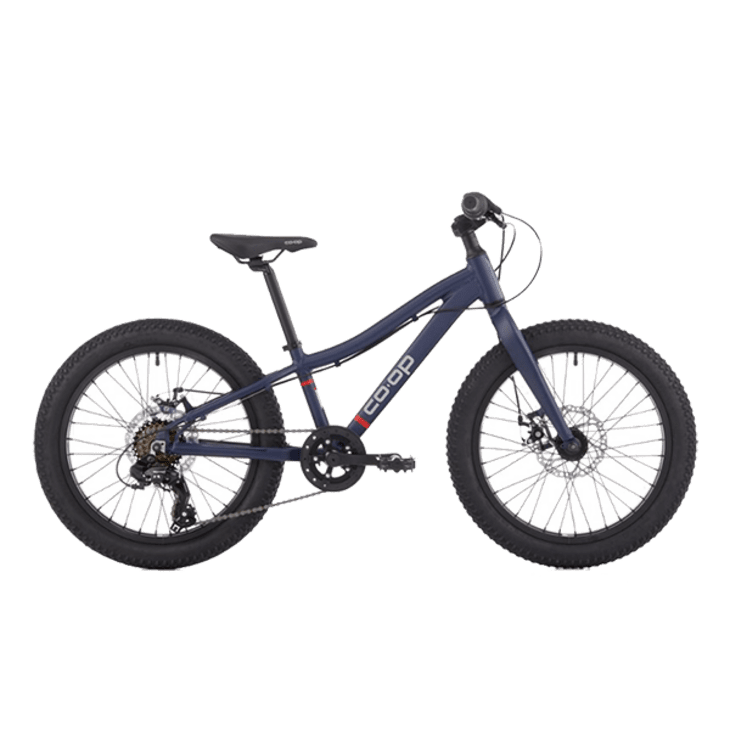 Co-op Cycles REV 20 6-Speed Plus Kids' Bike at REI