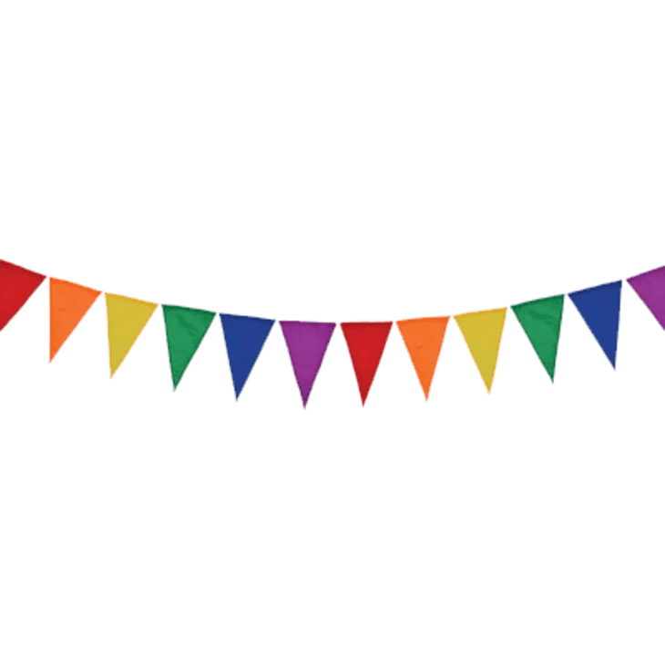 Product Image: InTheBreeze Rainbow Spectrum String Polyester Pennant