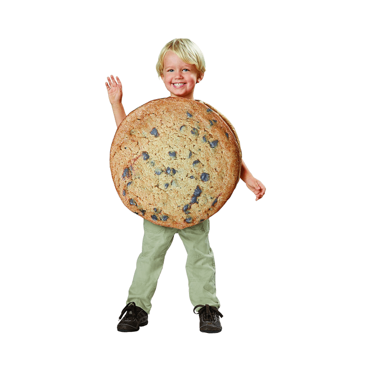 Product Image: Seasons Chocolate Chip Cookie Costume