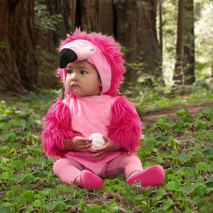 Product Image: Baby Flamingo Halloween Costume