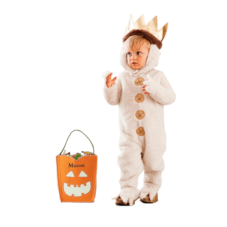 Product Image: Toddler Where The Wild Things Are Max Halloween Costume