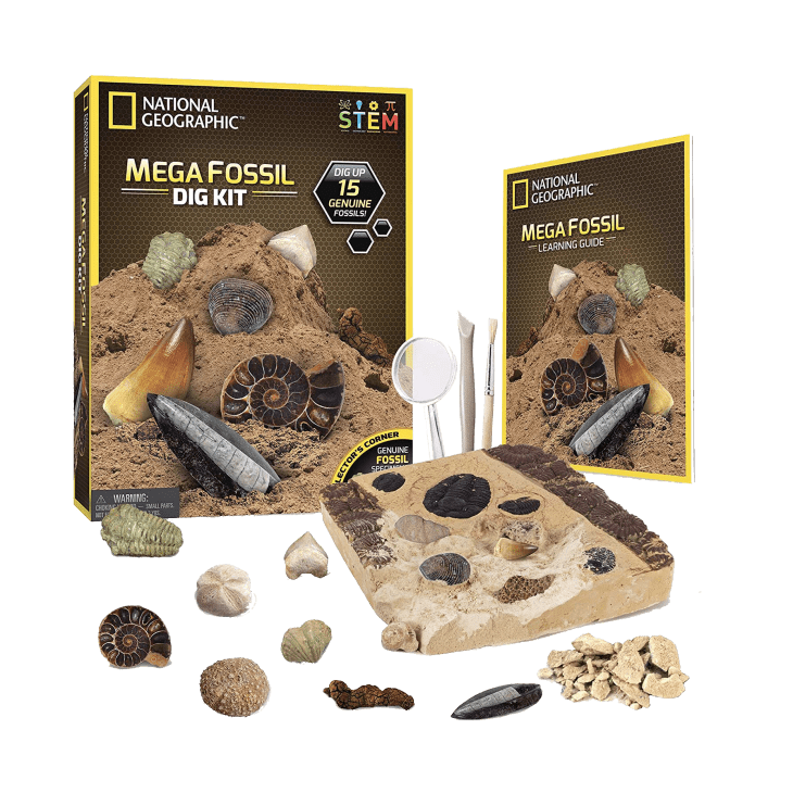 Product Image: National Geographic Mega Fossil Dig Kit