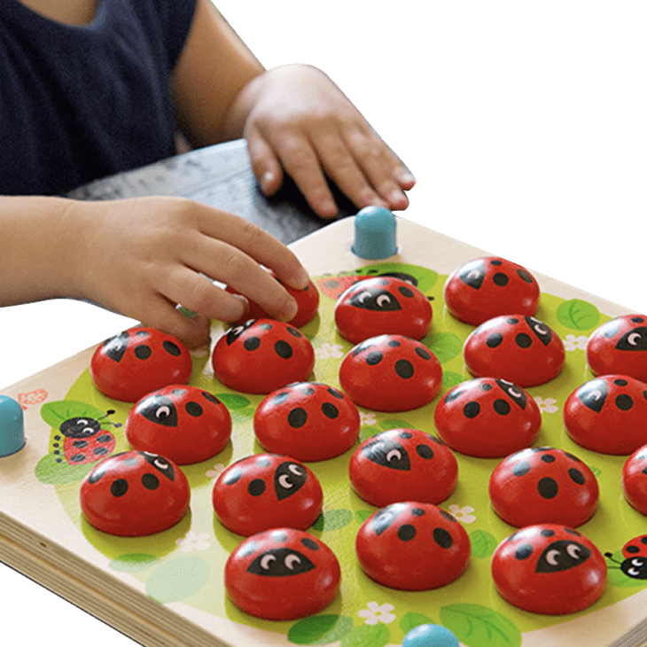 Ladybug's Garden Memory Game at Fat Brain Toys