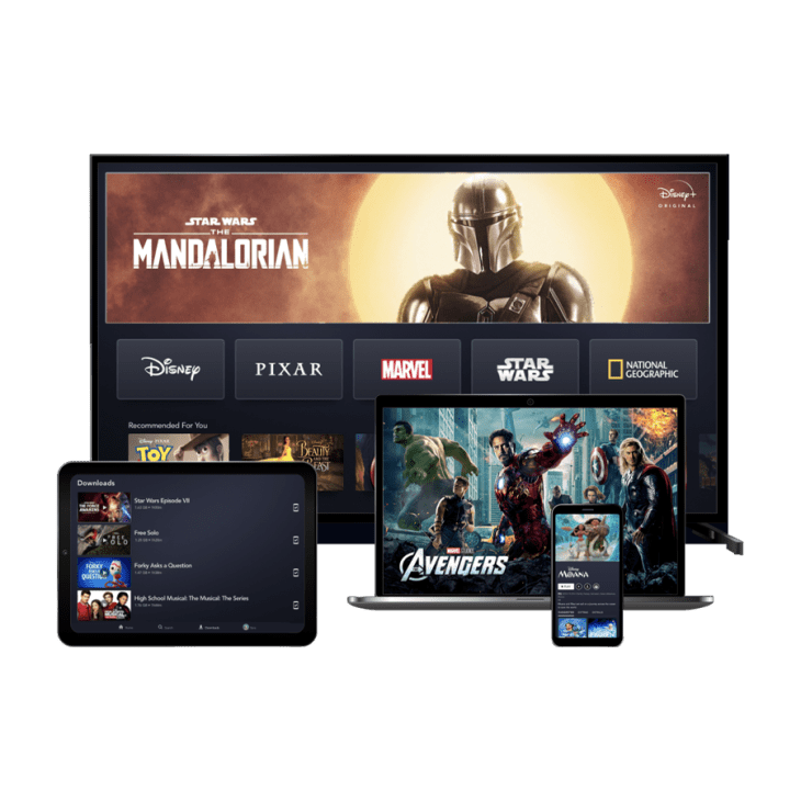 Product Image: Disney+ Subscription — 1 Year