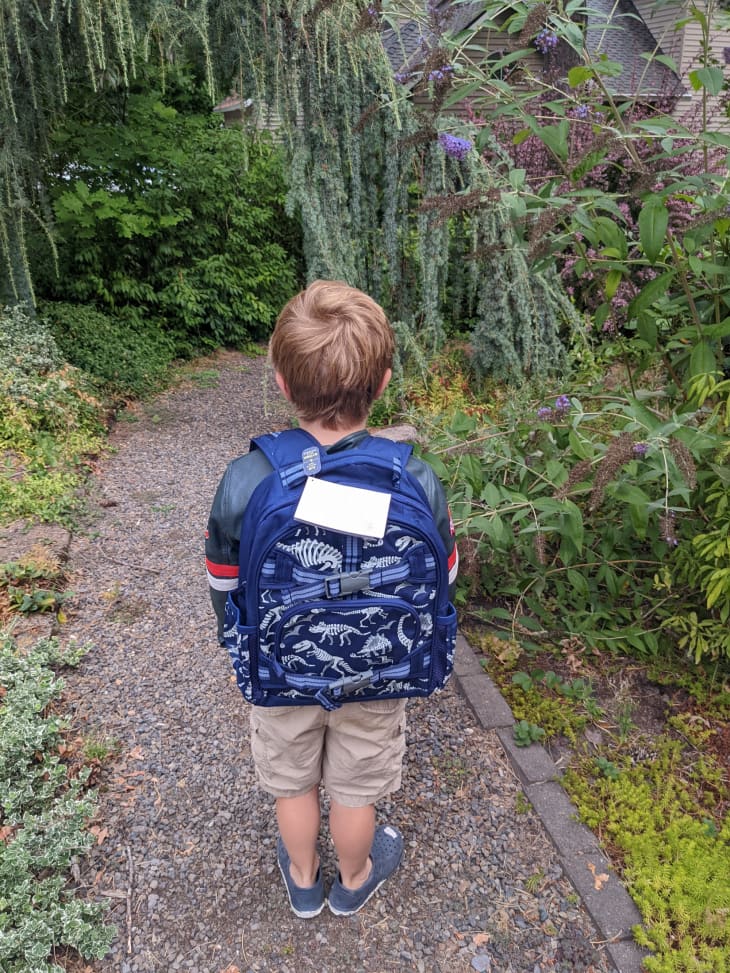 kid standing on forest path with blue backpack, the backpack has dinosaurs on it a large white tag