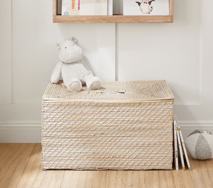 Product Image: Quinn White Washed Toy Chest