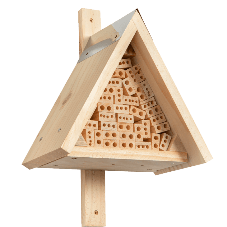Insect Hotel Assembly Kit at Walmart