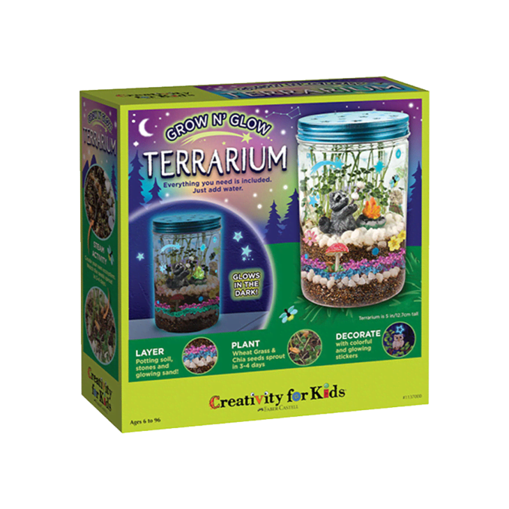 Product Image: Grow 'N Glow Terrarium