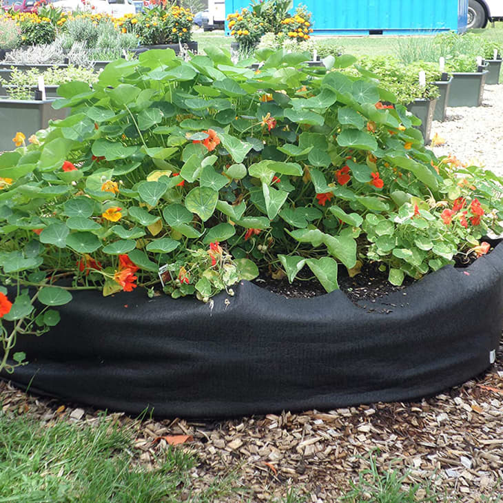 Product Image: Pop-Up Raised Fabric Garden Bed