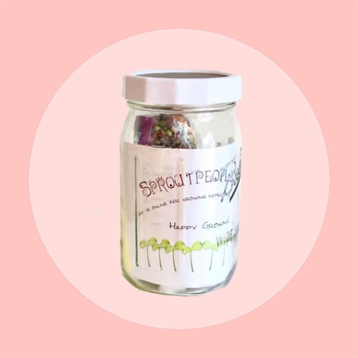 Product Image: Sprouting Jar Kit