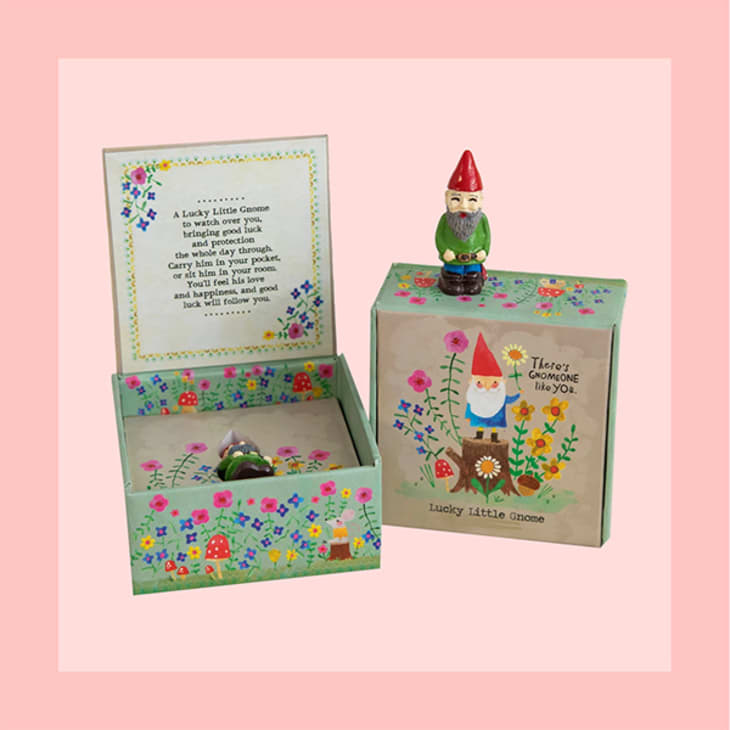 Product Image: Gnome Lucky Charm