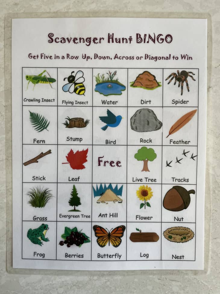 Tips When Taking Little Kids on a Hike | Cubby for Free Printable Hiking Scavenger Hunt