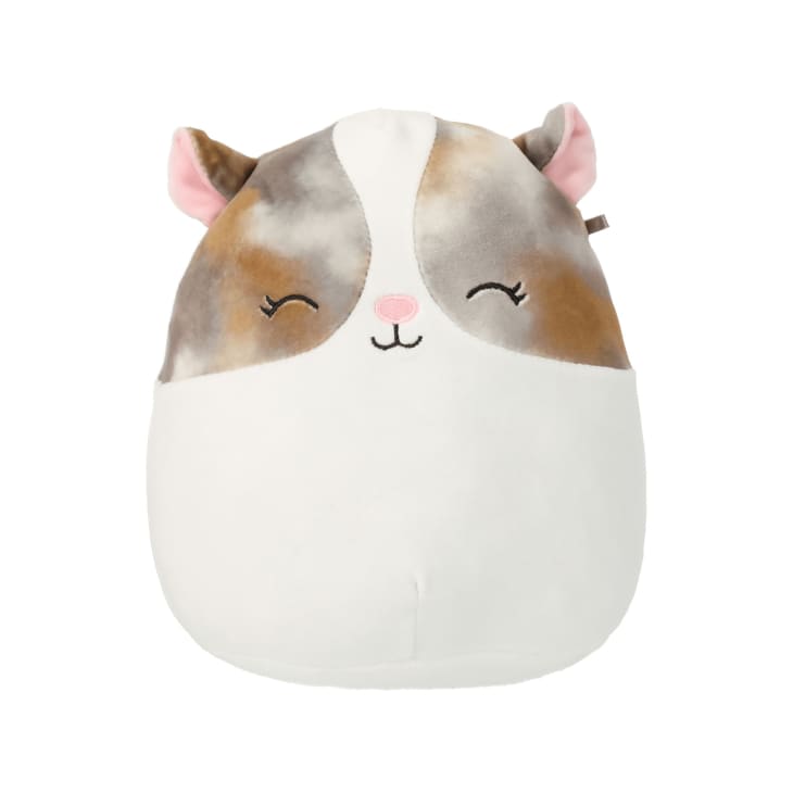 Product Image: Squishmallows Buddy Squad