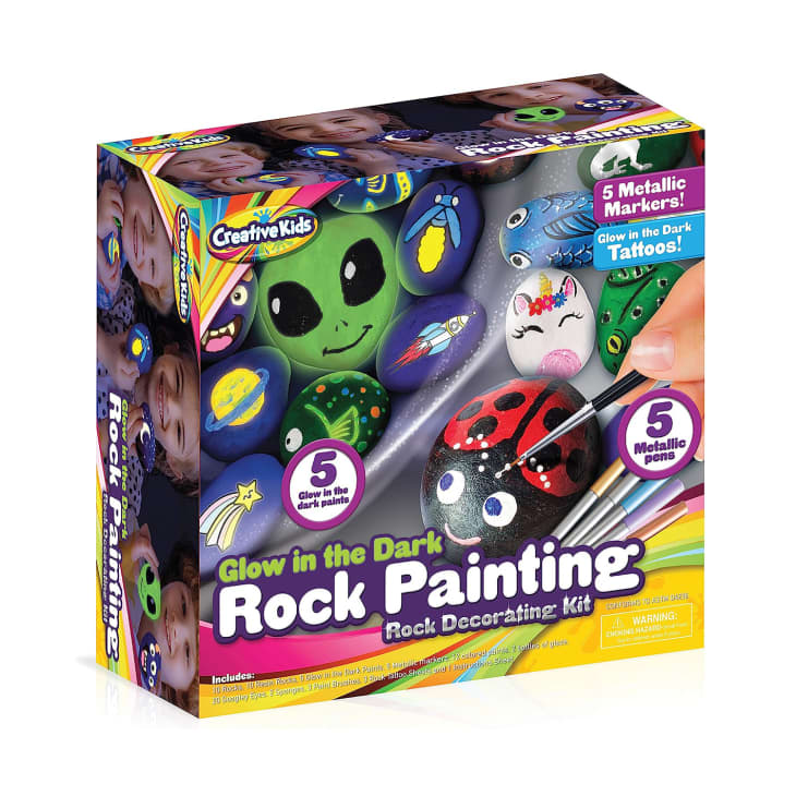 Product Image: Glow-N-Grow Rock Painting Kit