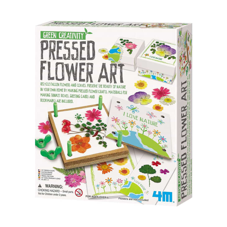 Product Image: Pressed Flower Art Kit