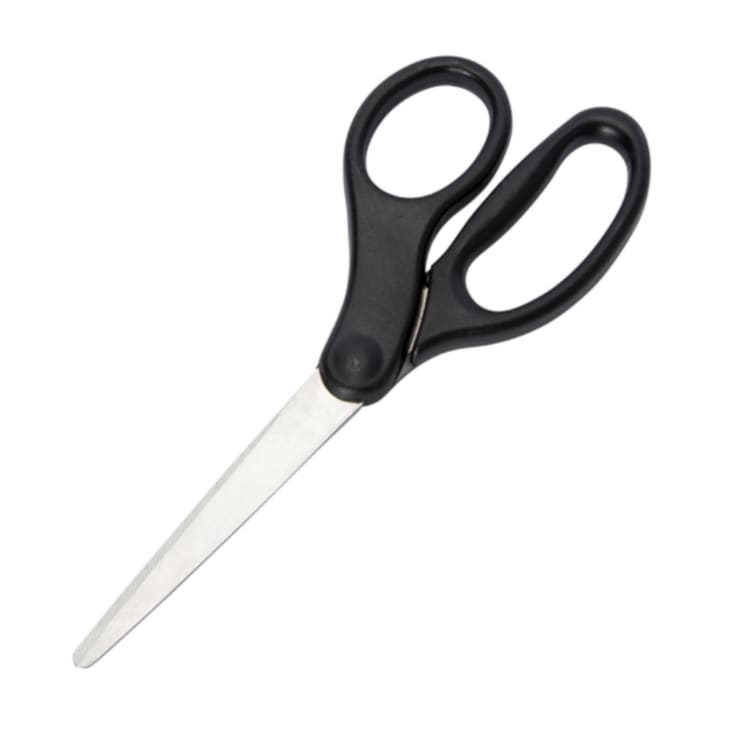 Product Image: Blunt-Tip Student Scissors