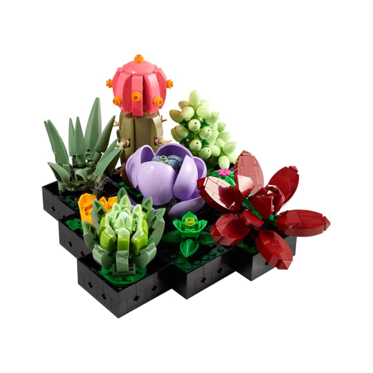 Lego Icon Succulents at LEGO
