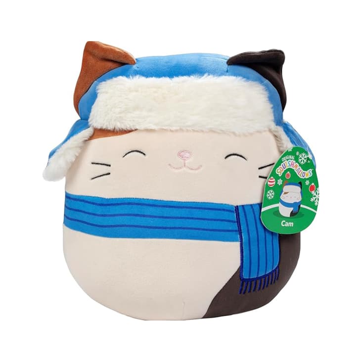 Product Image: Squishmallows 10" Cam The Cat with Hat